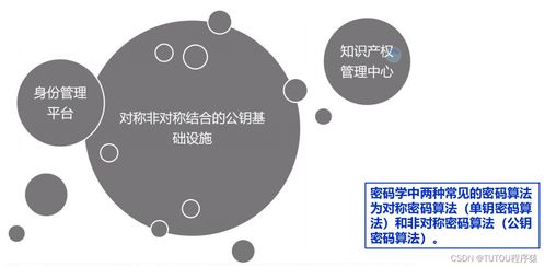 物聯網安全架構、基礎設施與安全軟件開發 構建可信的互聯世界