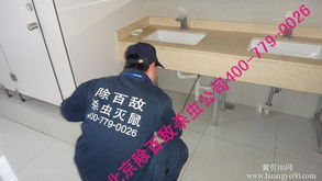 北京專業消毒服務 除百敵守護健康，科學預防甲流